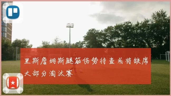 里斯詹姆斯腿筋伤势待查或将缺席大部分淘汰赛